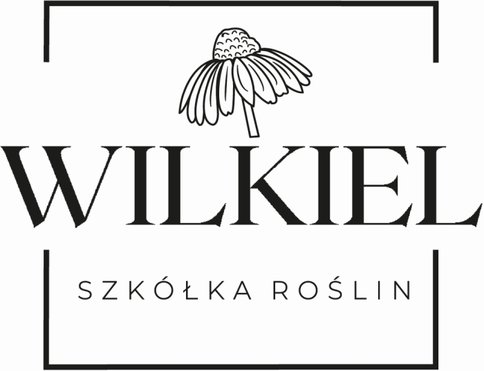 Szkółka Roślin Wilkiel